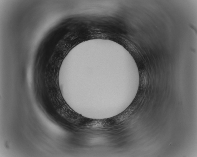 X0000097760764200804041125