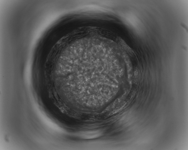 X0000097760765200804041125