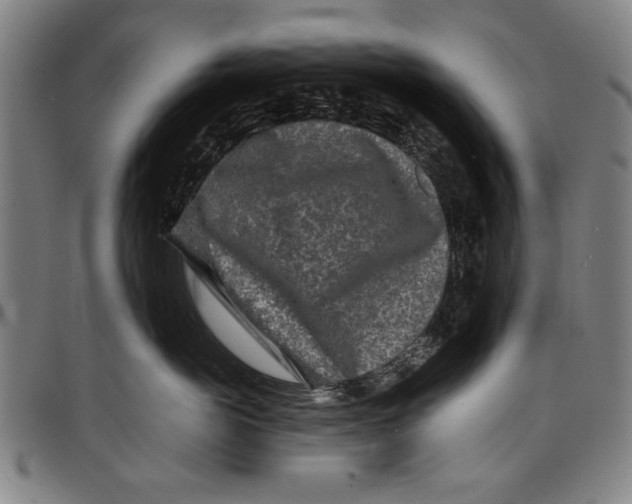 X0000097760766200804041126