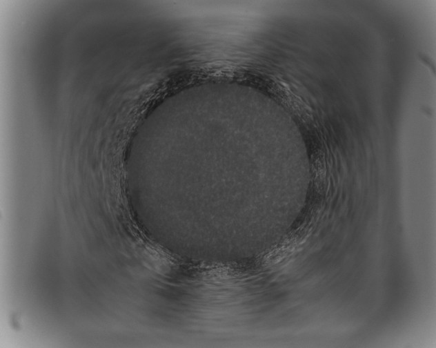 X0000097760769200804041125