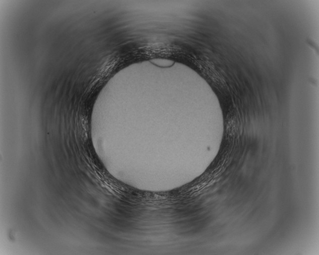 X0000097760772200804041125