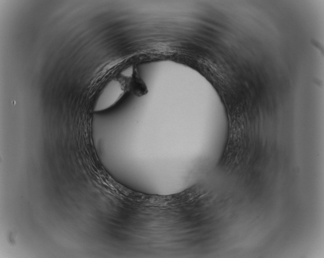 X0000097760773200804041125