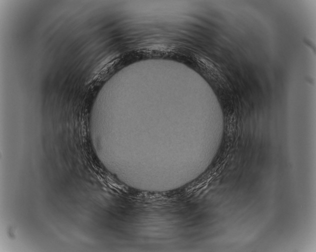 X0000097760774200804041125