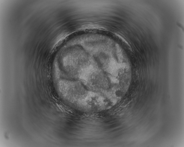 X0000097760775200804041125