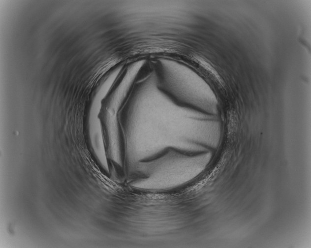 X0000097760777200804041124