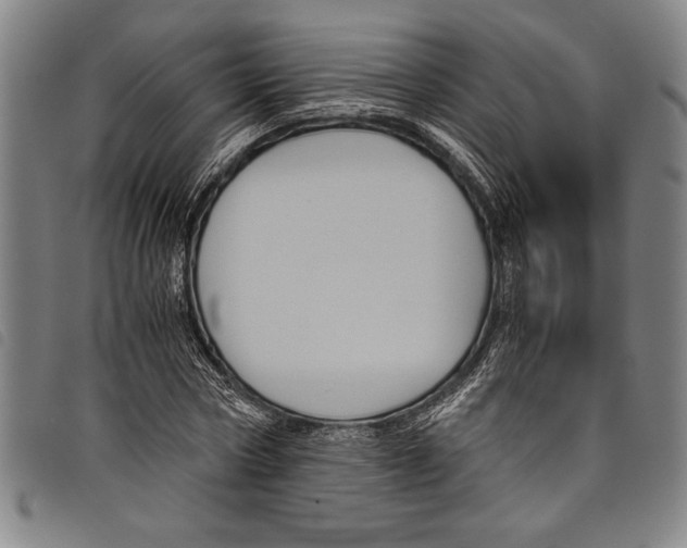 X0000097760778200804041124