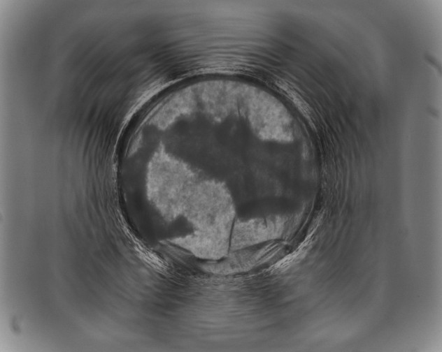 X0000097760779200804041124