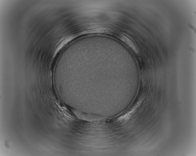 X0000097760781200804041124