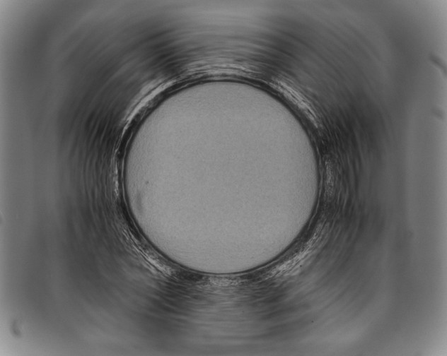 X0000097760782200804041124