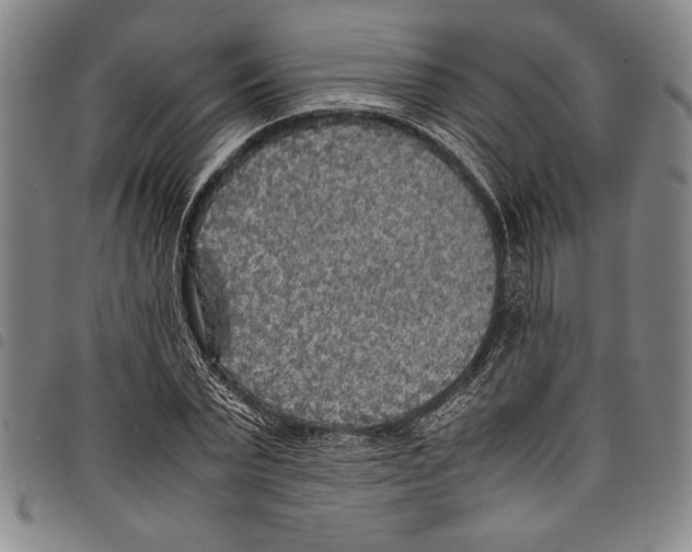 X0000097760783200804041124