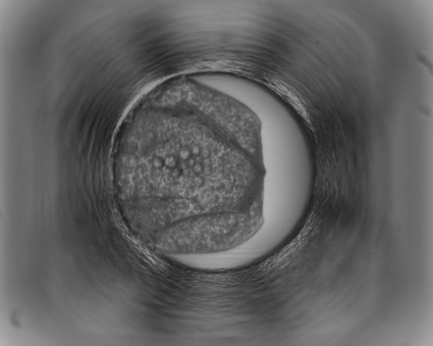 X0000097760784200804041124