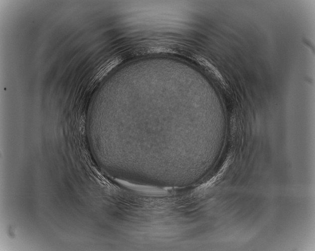 X0000097760785200804041124