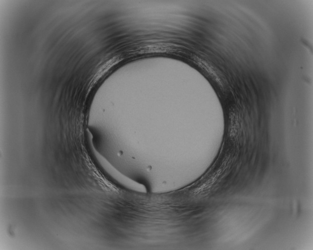 X0000097760786200804041124