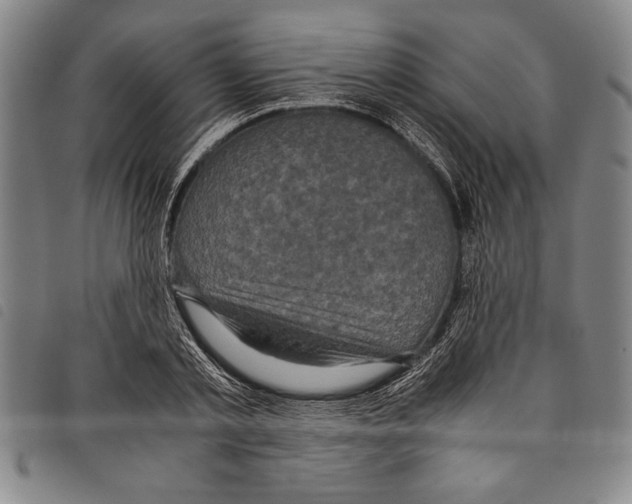 X0000097760789200804041124