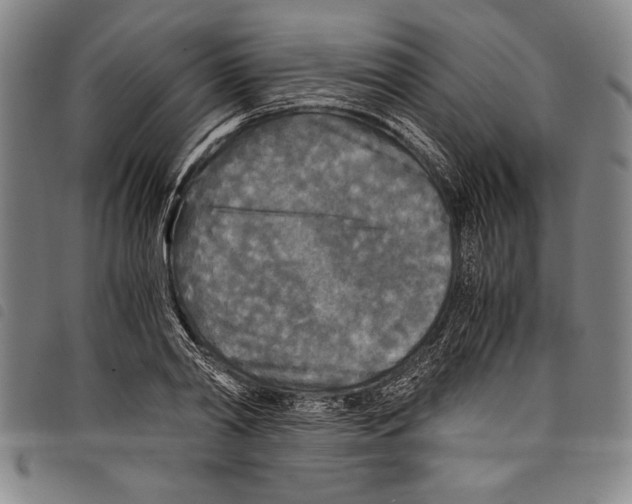 X0000097760790200804041124