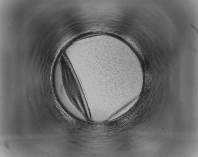 X0000097760791200804041124