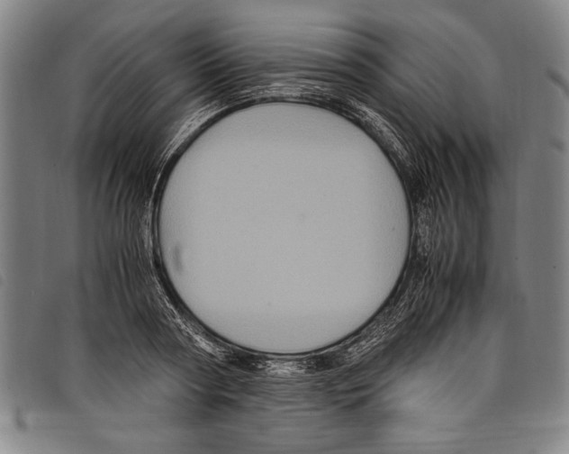 X0000097760794200804041124