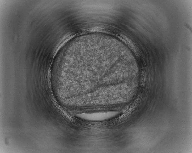 X0000097760798200804041124