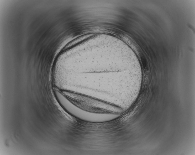 X0000097760803200804041124