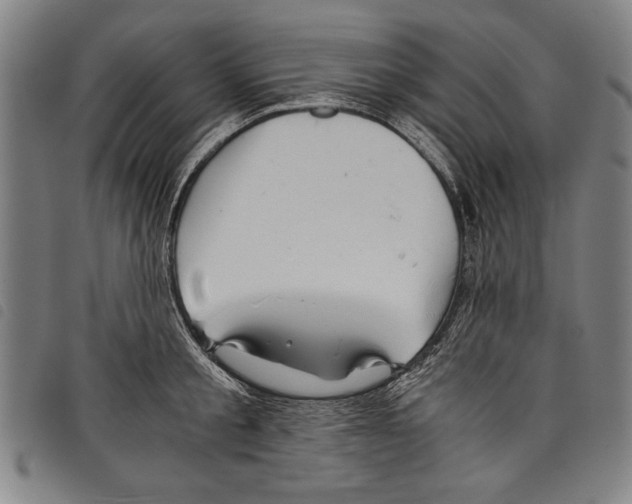 X0000097760805200804041124