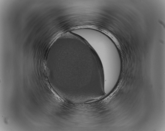 X0000097760809200804041124