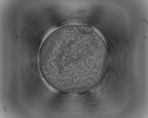 X0000097760811200804041124