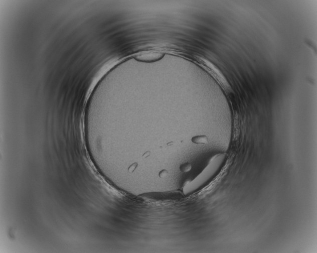 X0000097760812200804041124