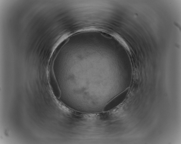 X0000097760813200804041124