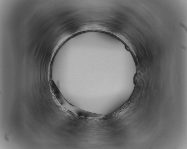 X0000097760815200804041124