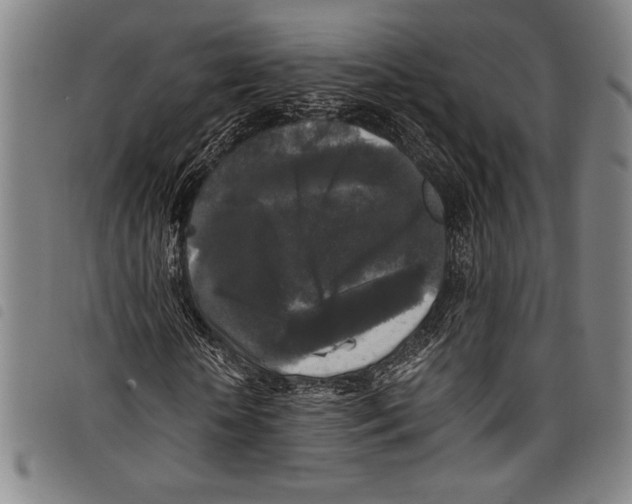 X0000097760818200804041123