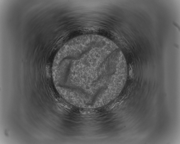 X0000097760819200804041123