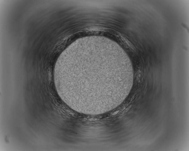 X0000097760821200804041123