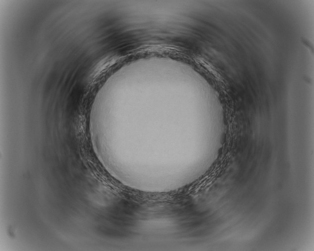 X0000097760824200804041123