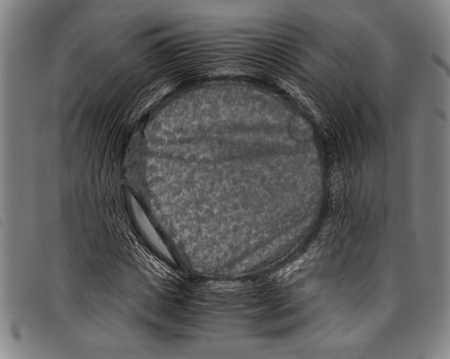 X0000097760825200804041123