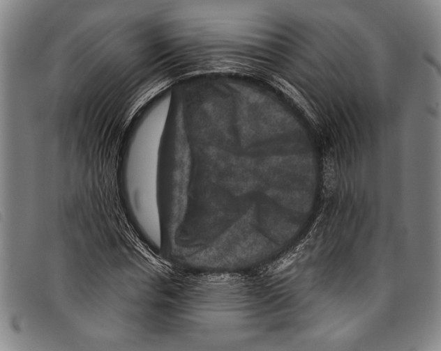 X0000097760826200804041123