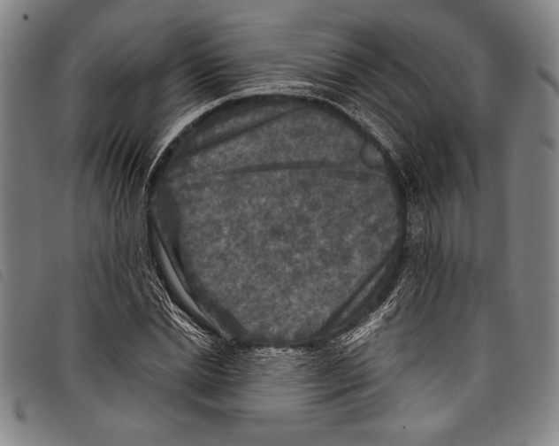 X0000097760830200804041123