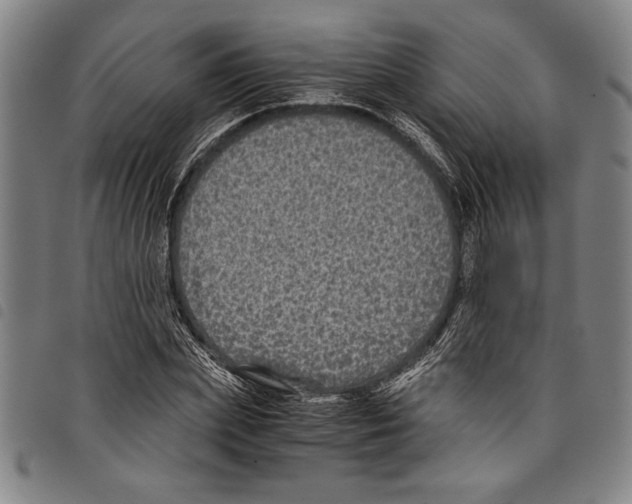 X0000097760831200804041123