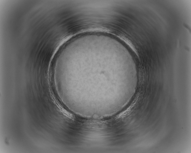 X0000097760832200804041123