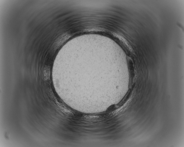 X0000097760833200804041123