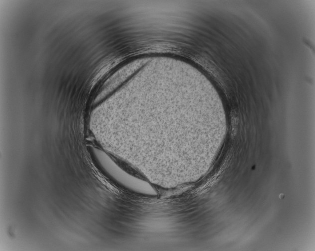 X0000097760834200804041124