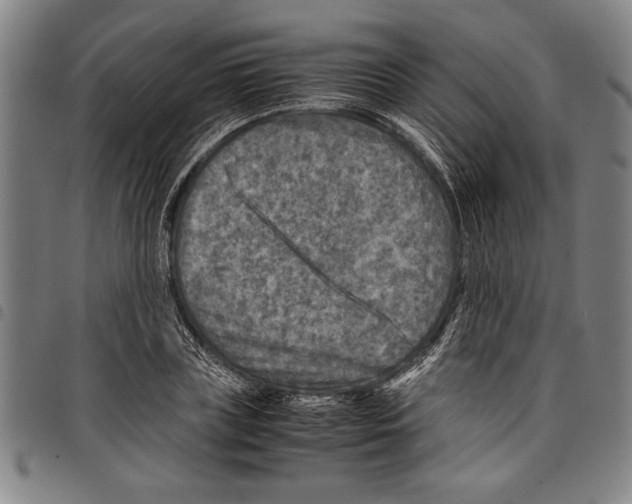 X0000097760835200804041124