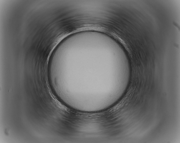 X0000097760836200804041124