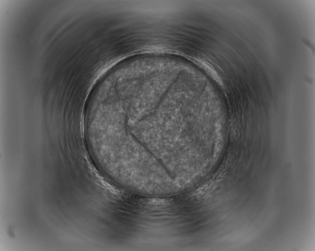 X0000097760839200804041124