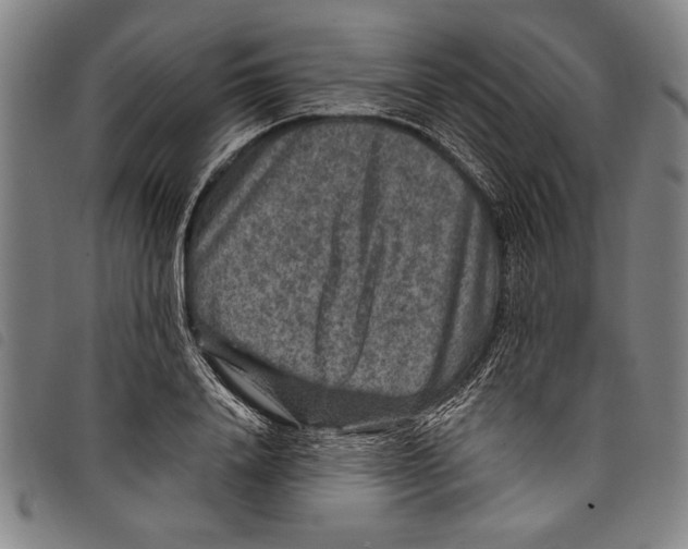 X0000097760840200804041124