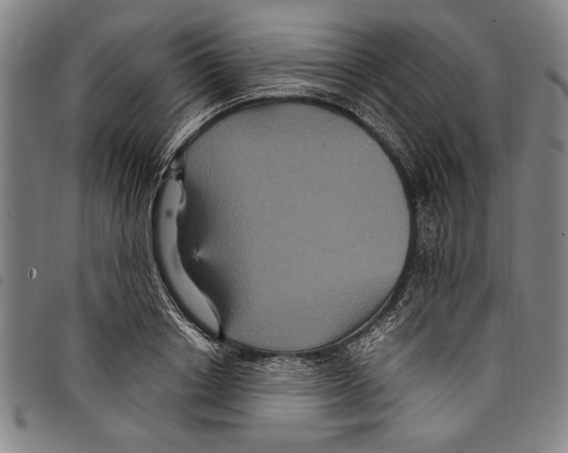 X0000097760842200804041124