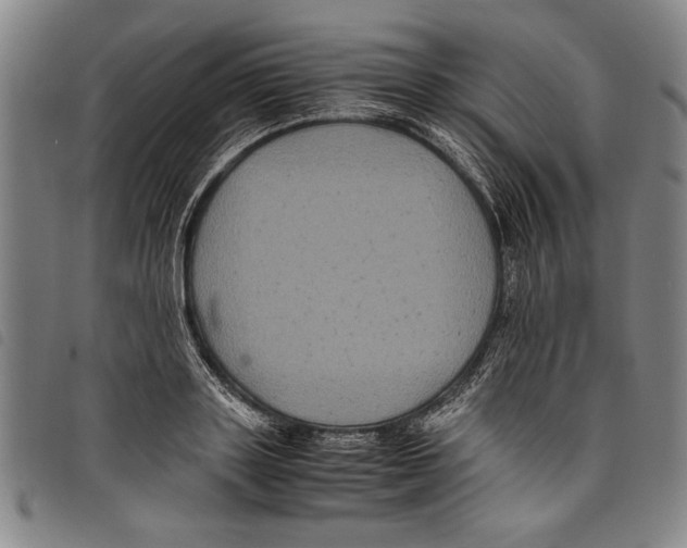 X0000097760843200804041124