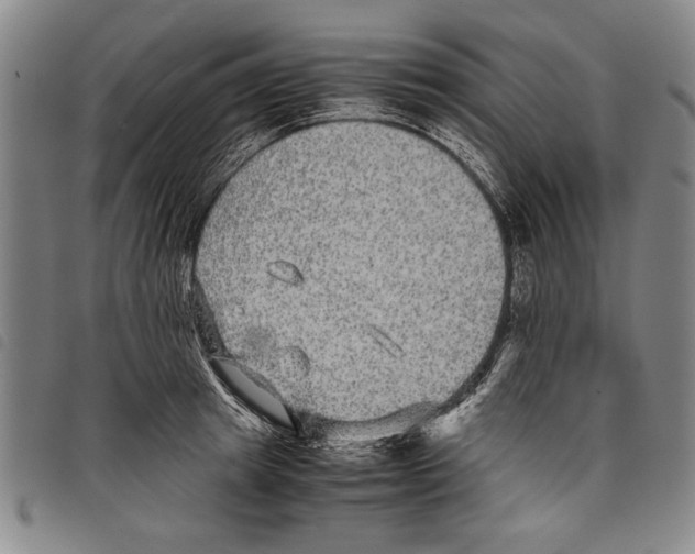 X0000097760849200804041124