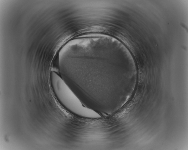 X0000097760850200804041124