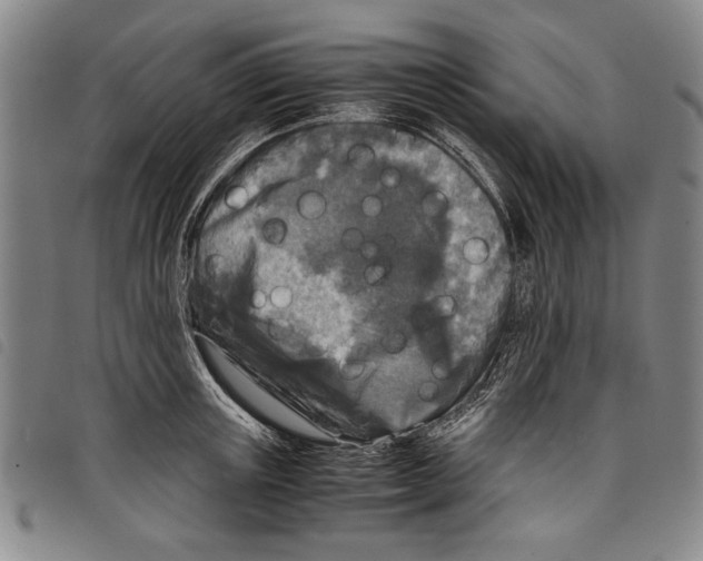 X0000097760851200804041124