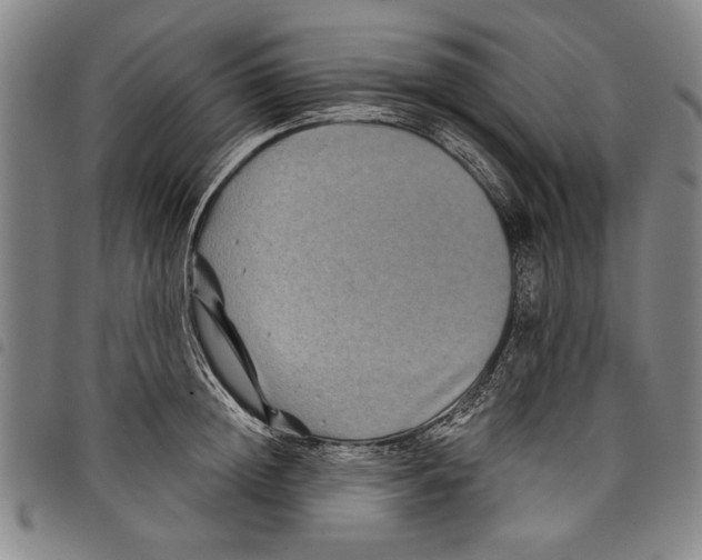 X0000097760852200804041124